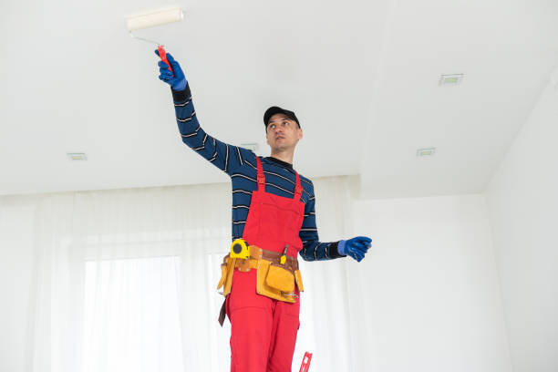 Professional Painting in Vega, TX